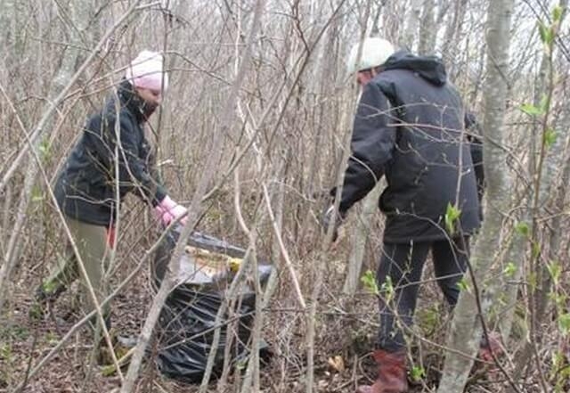 Vyksta pasirengimas pavasarinei akcijai „Darom“