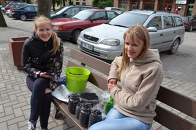 Tikroji mėlynių ir gyvenimo kaina