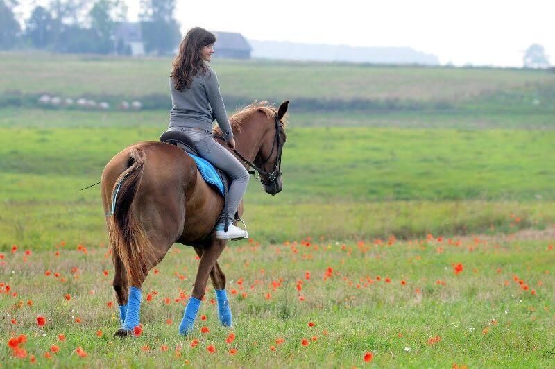 Akcija „Atviros dienos kaime“ žada įsimintiną savaitgalį