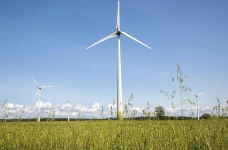 „Enefit Green“ planuose – didžiausias įmonės vėjo jėgainių parkas Lietuvoje: elektra aprūpins 80 tūkst. namų
