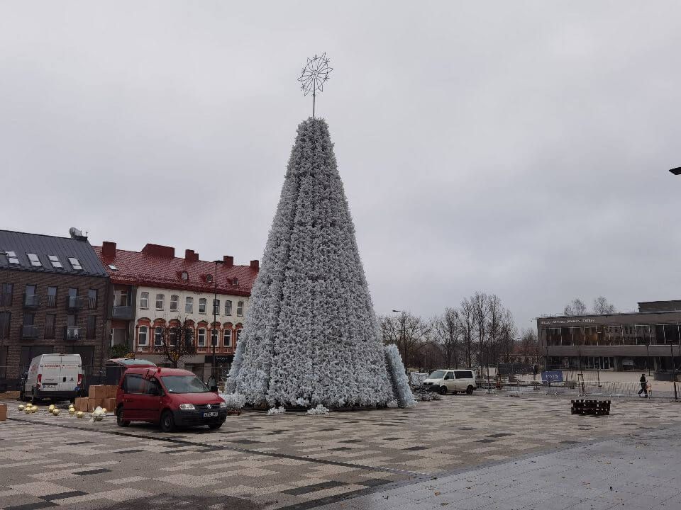 Iškilo Panevėžio Kalėdų eglė