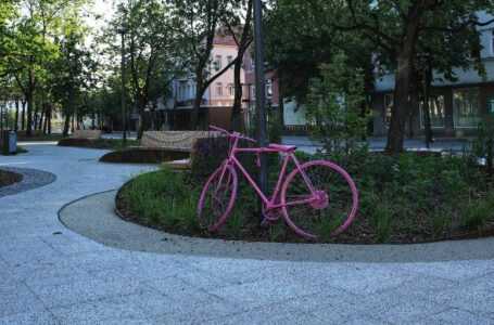 Rožinis dviratis iš Laisvės aikštės persikėlė į savivaldybės rūmus