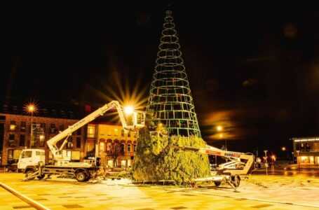 Panevėžyje pradedama statyti 18 m aukščio Kalėdų eglė (fotogalerija papildyta)