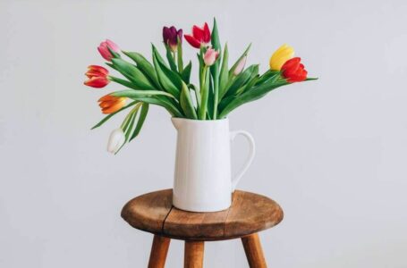 Parsineškite namo pavasarį: kaip prižiūrėti tulpes, kad jos žydėtų iki 2 savaičių