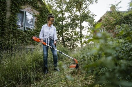 Ekspertas atkreipia dėmesį į smulkmeną, dėl kurios sode išplinta augalų ligos, bei pataria, kaip dezinfekuoti įrankius