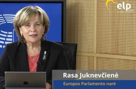 EP nariai: „Ginkluotos valstybės pajėgos turi būti absoliučiai lojalios demokratinei politinei santvarkai“