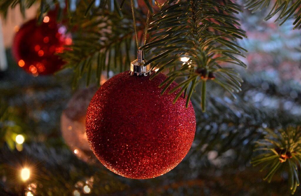 I Panevėžys-distriktet vil juletrærne lyse etter hverandre – AINA