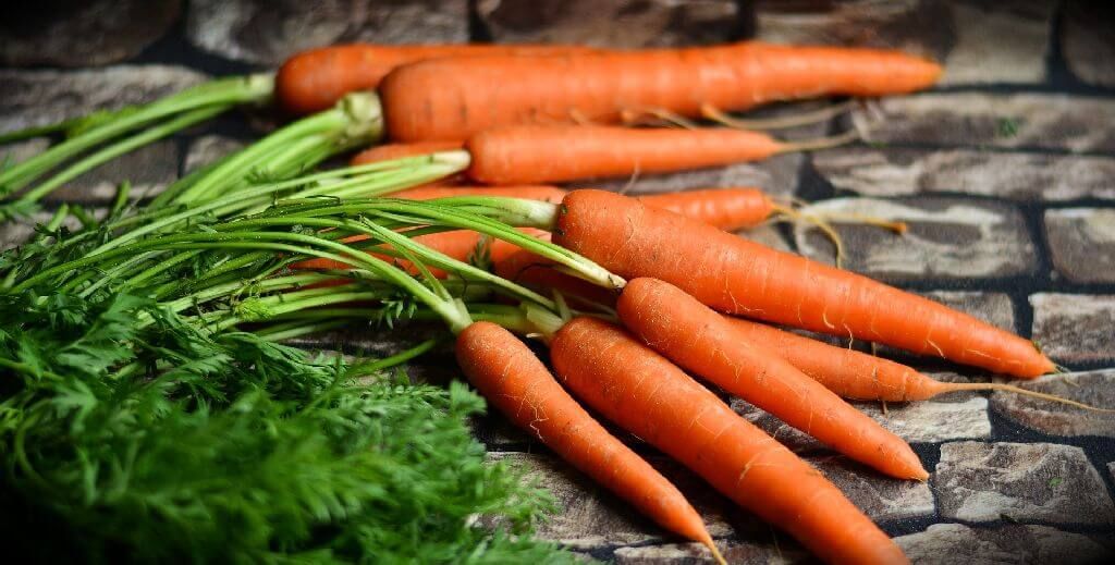 In occasione della Giornata Internazionale della Carota – ricette di contorni nutrienti e frugali – AINA