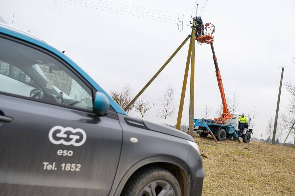 Į Lietuvą parskrendantys gandrai grįš į saugius lizdus